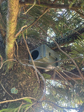 Load image into Gallery viewer, PossumPod