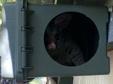 Load image into Gallery viewer, PossumPod
