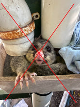 Load image into Gallery viewer, PossumPod
